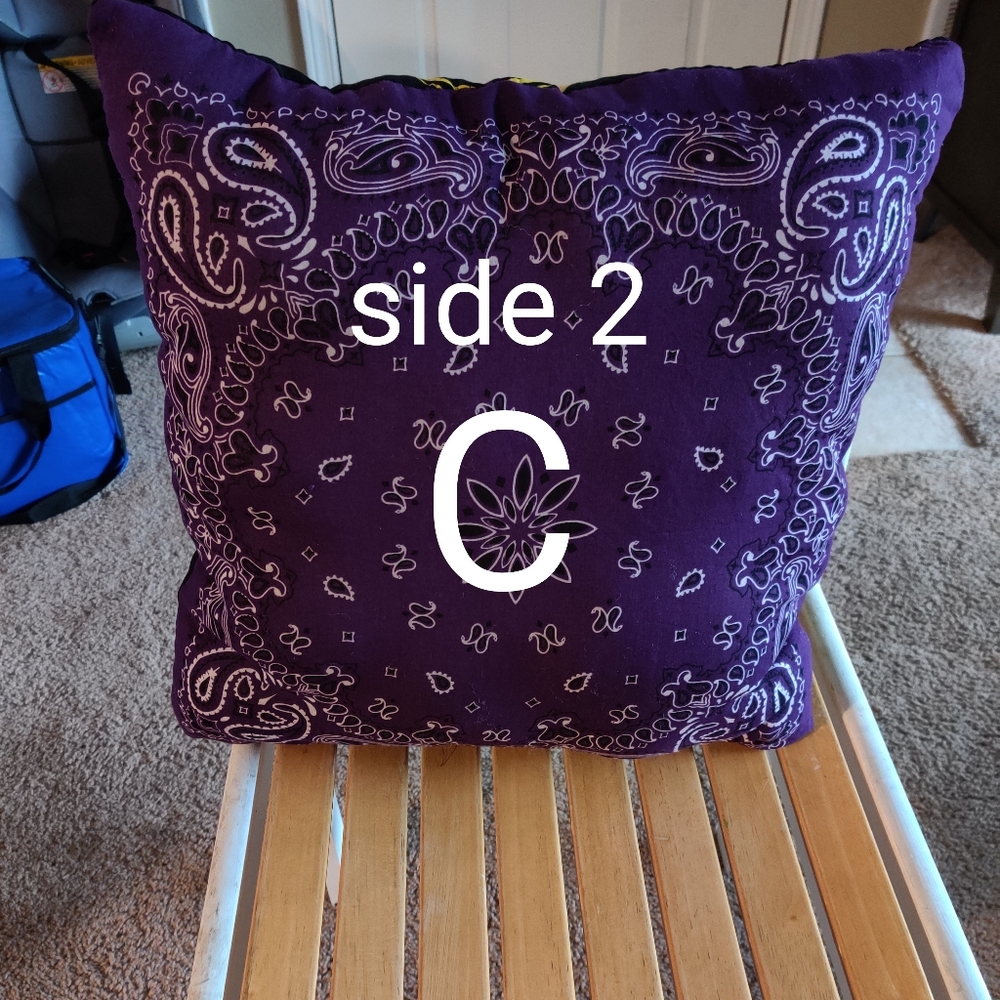 Pillows - Picture 4 of 7